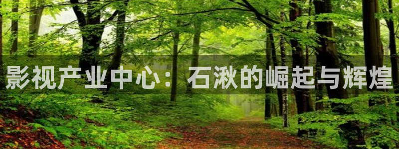 九七神馬電影院：影視產業中心：石湫的崛起與輝煌