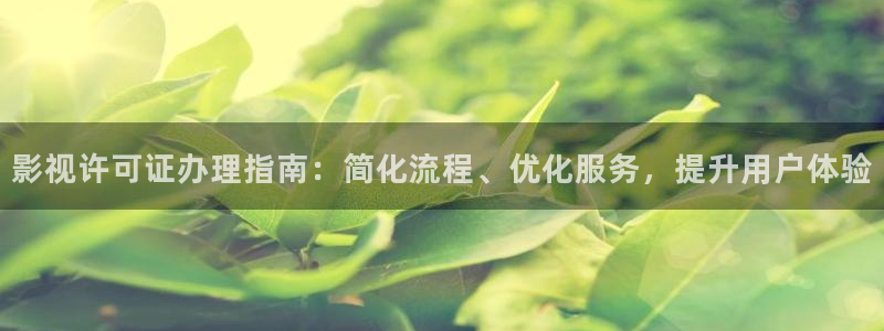 九七影院進入：影視許可證辦理指南：簡化流程、優化服務，提升用戶體驗