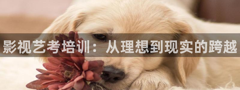 九七電影院97網電視劇